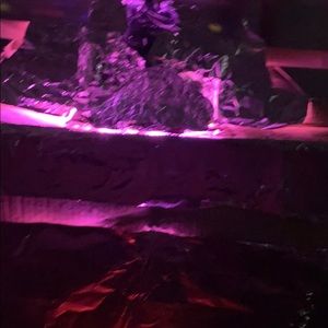 Meet your Posher, Emiliano